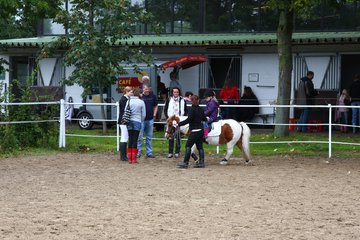 Bild 738 - WBO-Turnier am 18.9.11